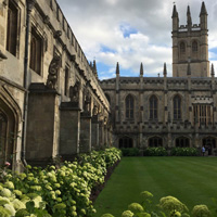 Готическая архитектура Англии: гражданское строительство